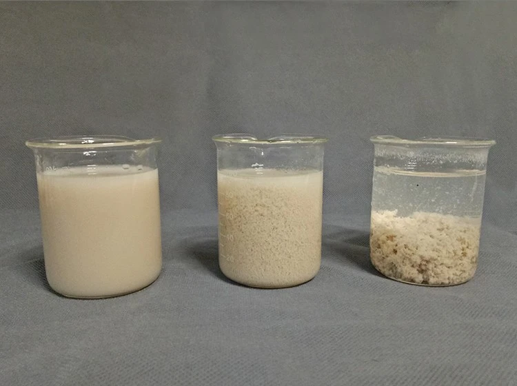 Cationic Polyacrylamide Polymers 9003-05-8 (6)