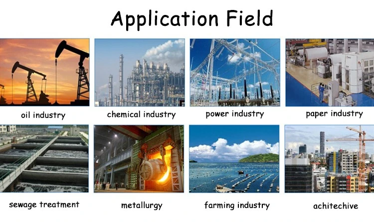 Polyacrylamide Food Grade 9003-05-8 (2)