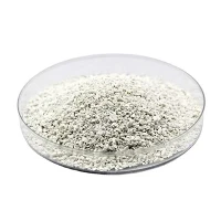 CAS 7778-54-3 Ca (ClO) 2 Hypochlorite de calcium granulaire à 70 % pour le traitement de l'eau Désinfectant