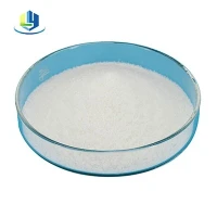 Floculant de déshydratation cationique CPAM hautement efficace CAS 9003-05-8 PAM cationique