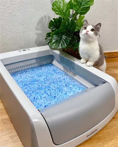 Litière pour chat Tofu échantillon gratuit fournitures de nettoyage pour animaux de compagnie vente en gros litière pour chat en Gel de silice