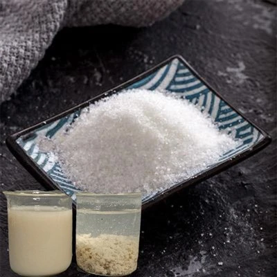 Produits chimiques de traitement des eaux usées Floculant Coagulant cationique Poudre Pam